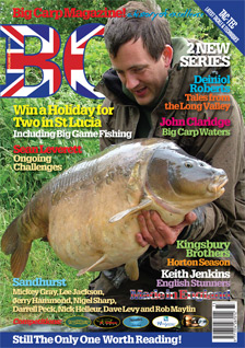 View Volume 29 Issue 173